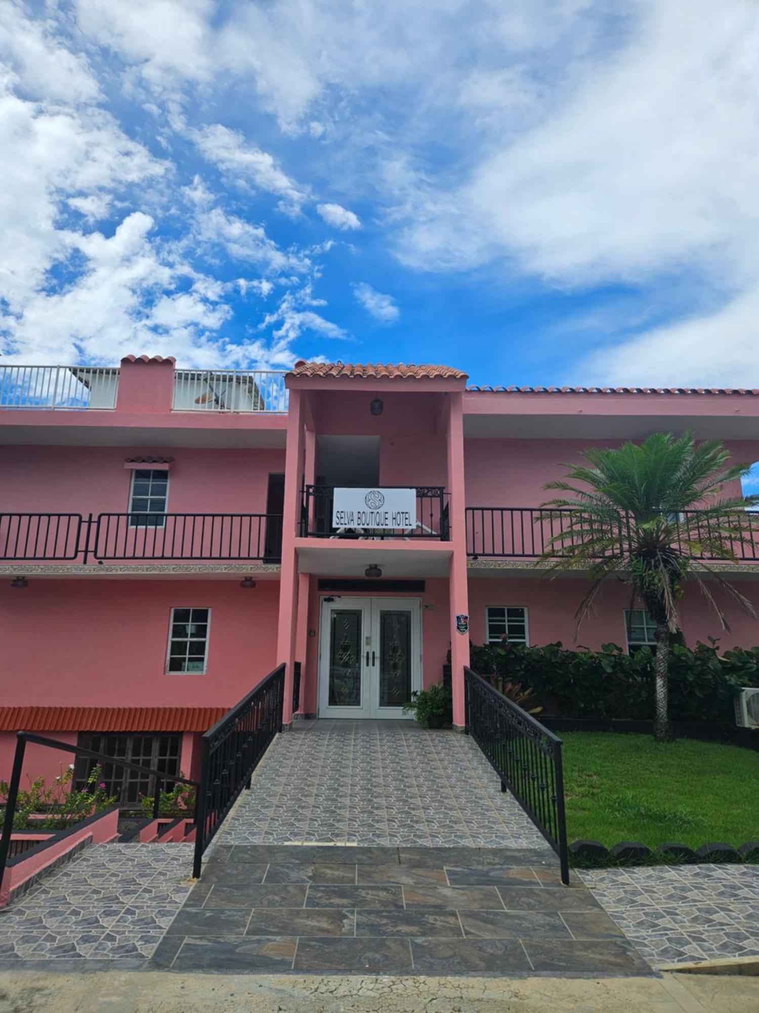 Selva Boutique Hotel - Luquillo Oceanfront Retreat - Adults Only Bagian luar foto